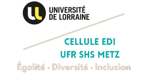 Cellule EDI UFR SHS-Metz : Formulaire afin d'envoyer votre témoignage